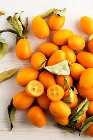 Kumquat Orange (કુમક્વાટ નારંગી)